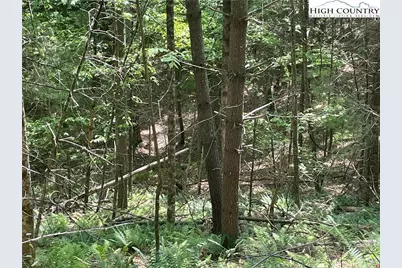 Lots 55 & 57 Meadow Crest Drive, Jefferson, NC 28640 - Photo 13