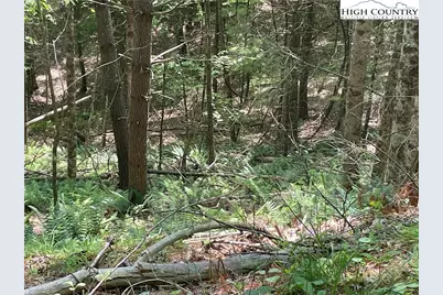 Lots 55 & 57 Meadow Crest Drive, Jefferson, NC 28640 - Photo 1