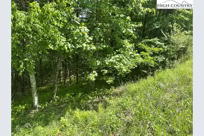 Lots 55 & 57 Meadow Crest Drive, Jefferson, NC 28640 - Photo 5