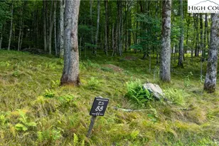 Es88 Lands End Trail, Banner Elk, NC 28604 - Photo 1