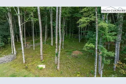 Es88 Lands End Trail, Banner Elk, NC 28604 - Photo 5