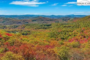 1810 Homestead Rd, Todd, NC 28684 - Photo 3