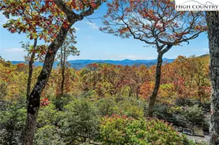 1810 Homestead Rd, Todd, NC 28684 - Photo 23