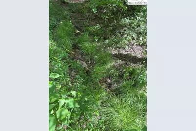 Tbd Round Hill Church Road, Traphill, NC 28685 - Photo 11