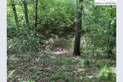 Tbd Round Hill Church Road, Traphill, NC 28685 - Photo 9