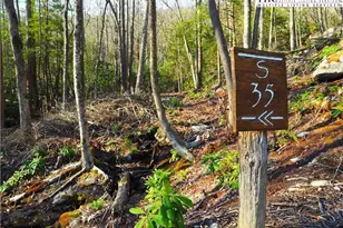 S35 Sky Rock Dr, Banner Elk, NC 28622 - Photo 1