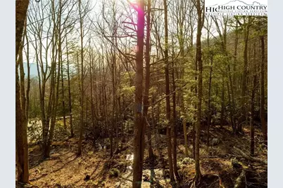 S35 Sky Rock Drive, Banner Elk, NC 28622 - Photo 3