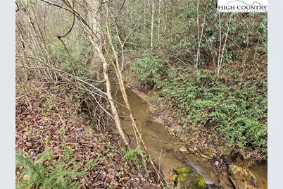 0 Elk Creek Darby Road, Ferguson, NC 28624 - Photo 3