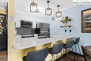 101 Mid Holiday Ln, Beech Mountain, NC 28604 - Photo 9