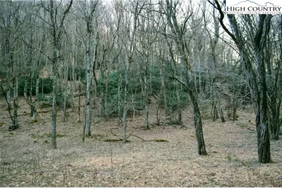 Lot 101 Beaver Lodge Trail, Blowing Rock, NC 28605 - Photo 9