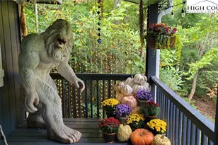 1157 Pine Ridge Rd, Beech Mountain, NC 28604 - Photo 23