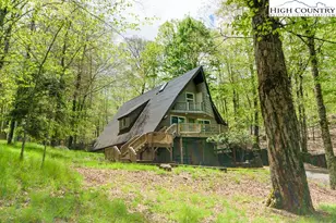 205 Spring Branch Rd, Beech Mountain, NC 28604 - Photo 43