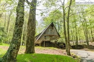 205 Spring Branch Rd, Beech Mountain, NC 28604 - Photo 43