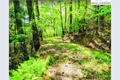 Tbd Lucky Leaf Lane, Vilas, NC 28692 - Photo 5