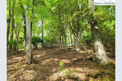 Tbd Lucky Leaf Lane, Vilas, NC 28692 - Photo 17