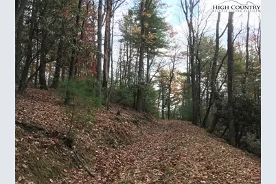 Tbd Lucky Leaf Lane, Vilas, NC 28692 - Photo 17