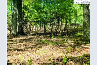 Tbd Lucky Leaf Lane, Vilas, NC 28692 - Photo 9