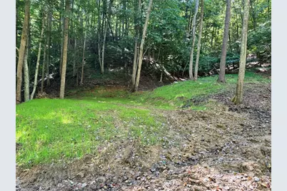 10.1 Acres Powder Horn Mountain Road, Deep Gap, NC 28618 - Photo 11