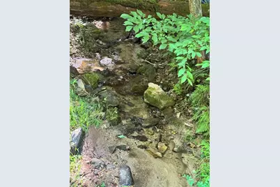 10.1 Acres Powder Horn Mountain Road, Deep Gap, NC 28618 - Photo 7
