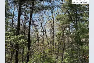 Lot 213 Casey Mountain Road, Purlear, NC 28665 - Photo 15