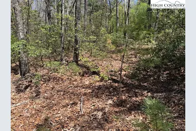 Lot 213 Casey Mountain Road, Purlear, NC 28665 - Photo 15