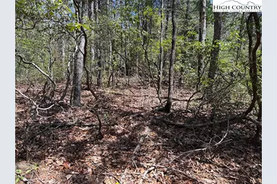 Lot 213 Casey Mountain Road, Purlear, NC 28665 - Photo 9