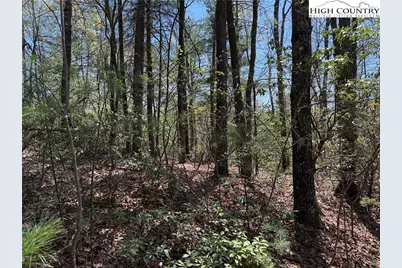 Lot 213 Casey Mountain Road, Purlear, NC 28665 - Photo 11
