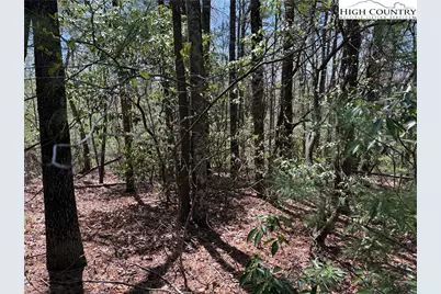 Lot 213 Casey Mountain Road, Purlear, NC 28665 - Photo 13