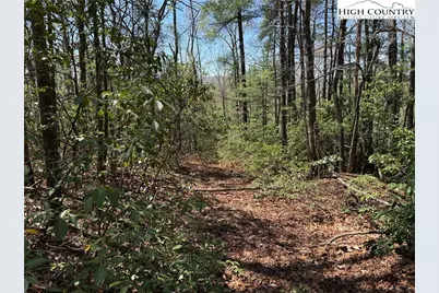 Lot 213 Casey Mountain Road, Purlear, NC 28665 - Photo 7