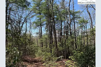 Lot 213 Casey Mountain Road, Purlear, NC 28665 - Photo 7