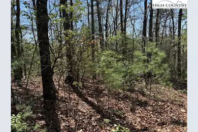 Lot 213 Casey Mountain Road, Purlear, NC 28665 - Photo 9