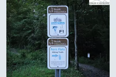 Lot 213 Casey Mountain Road, Purlear, NC 28665 - Photo 29