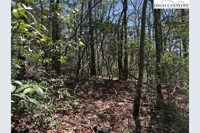Lot 213 Casey Mountain Road, Purlear, NC 28665 - Photo 9