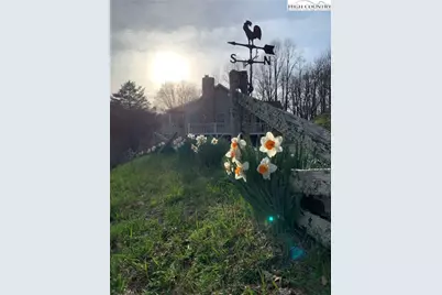 1528 Bairds Creek Road, Vilas, NC 28692 - Photo 33