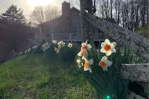 1528 Bairds Creek Rd, Vilas, NC 28692 - Photo 33