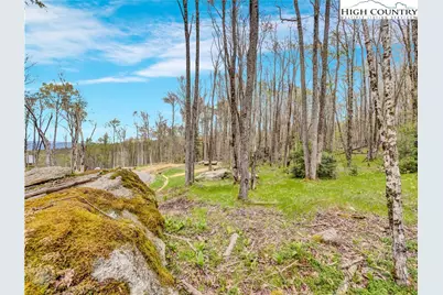 Es-97 Twisted Oak Path, Banner Elk, NC 28604 - Photo 15