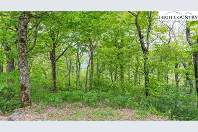 Lot 38 Crown Spruce Lane, West Jefferson, NC 28694 - Photo 5