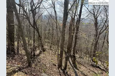 Lot 38 Crown Spruce Lane, West Jefferson, NC 28694 - Photo 13