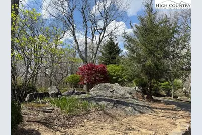 Lot 38 Crown Spruce Lane, West Jefferson, NC 28694 - Photo 9