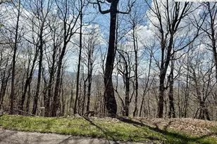 Lot 38 Crown Spruce Ln, West Jefferson, NC 28694 - Photo 1