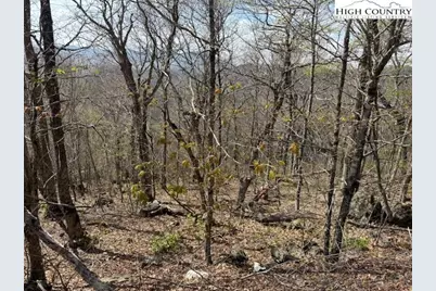 Lot 38 Crown Spruce Lane, West Jefferson, NC 28694 - Photo 15