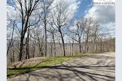 Lot 38 Crown Spruce Lane, West Jefferson, NC 28694 - Photo 3