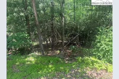 Tbd Deerwood Road #58, Sparta, NC 28675 - Photo 3