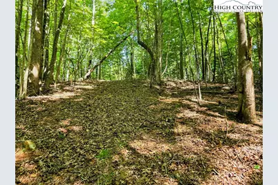 Lot 2B Brightwood Trail, Deep Gap, NC 28618 - Photo 1