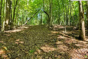 Lot 2B Brightwood Trail, Deep Gap, NC 28618 - Photo 1