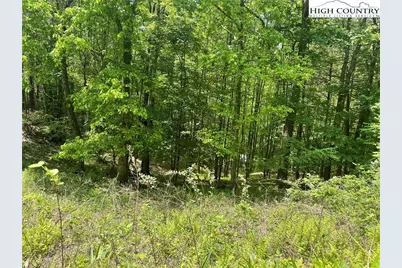 Lot 66 Daves Connector, Jefferson, NC 28640 - Photo 9