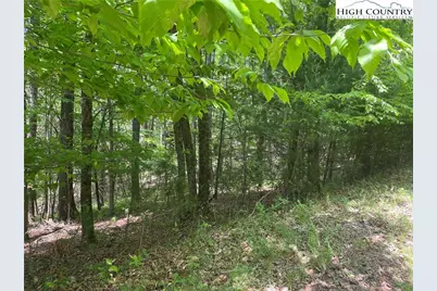 Lot 66 Daves Connector, Jefferson, NC 28640 - Photo 11