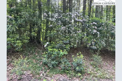 Lot 66 Daves Connector, Jefferson, NC 28640 - Photo 17