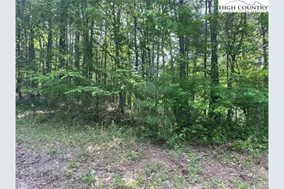 Lot 66 Daves Connector, Jefferson, NC 28640 - Photo 3