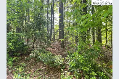 Lot 66 Daves Connector, Jefferson, NC 28640 - Photo 15